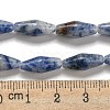 Natural Blue Spot Beads Strands G-A223-A06-01-5