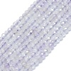 Natural Amethyst Beads Strands G-G106-A30-01-1