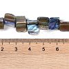 Dyed Natural Freshwater Shell Beads Strands SHEL-P016-01B-4