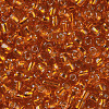 6/0 Glass Seed Beads SEED-A005-4mm-29-2