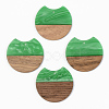 Opaque Resin & Walnut Wood Pendants X-RESI-S389-001A-C03-1