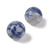 Natural Blue Spot Jasper No Hole Sphere Beads G-K353-04A-14-2