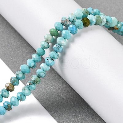 Natural Howlite Beads Strands G-H025-03C-01-1