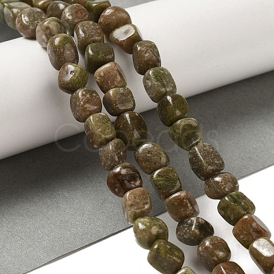 Natural Unakite Beads Strands G-B078-D25-01-1