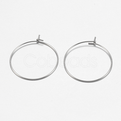 316 Surgical Stainless Steel Hoop Earrings Findings STAS-I097-050C-1