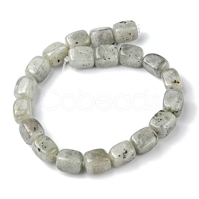 Natural Labradorite Beads Strands G-F743-02B-1