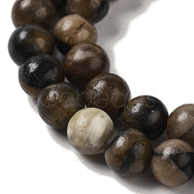 Natural Chiastolite Beads Strands G-Q161-A03-03-1