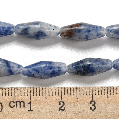 Natural Blue Spot Beads Strands G-A223-A06-01-1