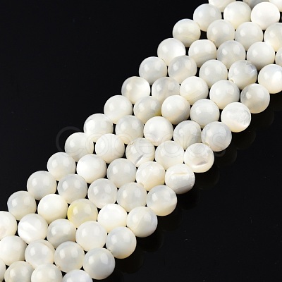 Natural White Shell Bead Strands SSHEL-N003-144E-01-1