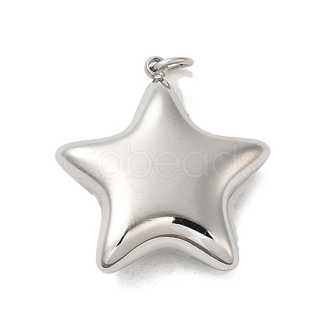 Non-Tarnish 304 Stainless Steel Pendants STAS-K263-27P-1