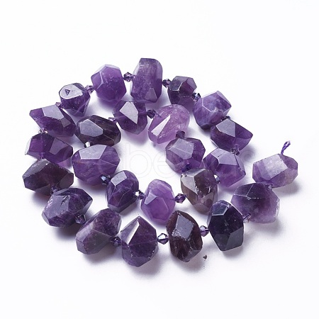 Natural Amethyst Beads Strands G-P434-10A-1