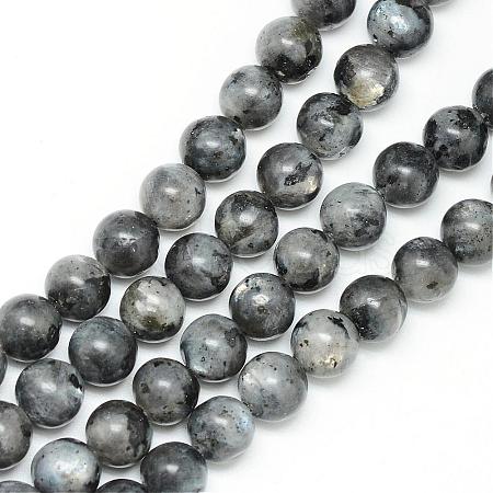 Natural Larvikite Beads Strands G-R345-4mm-33-1