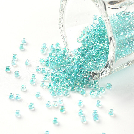 11/0 Grade A Transparent Glass Seed Beads X-SEED-N001-E-318-1