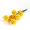 Artificial Flower, Dried Flower for Wedding Christmas Decoration, DIY Craft Home Decor, Yellow, 200~300mm, Flower: 25mm in diameter