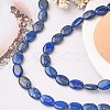 Natural Lapis Lazuli Beads Strands G-K311-12B-02-5