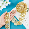   5 Yards Polyester Lace Trim OCOR-PH0001-96C-3