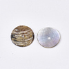 Natural Akoya Shell Beads SHEL-T012-44-2