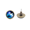 Picture Glass Stud Earrings EJEW-O088-107-2