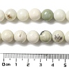 Natural Dendritic Jasper Beads Strands G-H298-A15-04-5