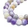 Natural Purple Opal Beads Strands G-K245-A07-D04-3