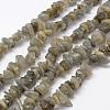 Natural Labradorite Beads Strands G-F521-13-1