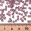Glass Seed Beads SEED-A006-3mm-116-3