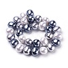 Shell Pearl Beads Strands BSHE-L035-E04-3