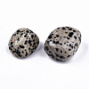 Natural Dalmatian Jasper Beads G-N332-012-3