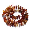 Natural Red Agate Beads Strands G-K245-H01-01-2