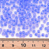 8/0 Transparent Glass Seed Beads SEED-S048-P-002-4