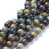Natural Chrysocolla Beads Strands G-L505-24-8mm-1