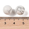 Natural Howlite No Hole Sphere Beads G-K353-04A-20-3