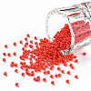 11/0 Grade A Baking Paint Glass Seed Beads X-SEED-N001-A-1006-1