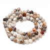 Natural Mexican Agate Bead Strands G-E608-A11-C-2