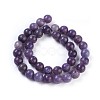 Natural Lepidolite/Purple Mica Stone Beads Strands G-E545-01B-2