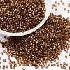 Cylinder Seed Beads X-SEED-H001-G17-1