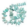 Natural Amazonite Beads Strands G-G106-J03-01-2