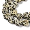 Natural Dalmatian Jasper Beads Strands G-B065-B14-4