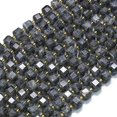 Natural Larvikite Beads Strands G-K389-A31-01-1