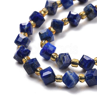 Natural Lapis Lazuli Beads Strands G-P463-25-1