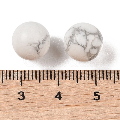 Natural Howlite No Hole Sphere Beads G-K353-04A-20-1