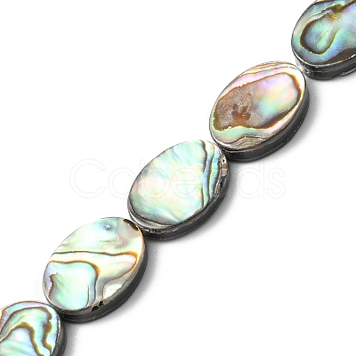 Natural Paua Shell Beads Strands SHEL-F006-06-1