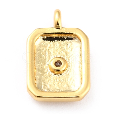 Brass Clear Cubic Zirconia Charms KK-J276-10G-1