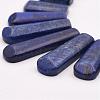 Natural Lapis Lazuli Beads Strands G-P298-I01-2