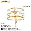 Anklets Sets AJEW-AN00383-04-2