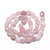 Natural Rose Quartz Beads Strands X-G-R445-8x10-13-2