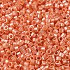 Baking Paint Glass Seed Beads X-SEED-S042-15A-03-3