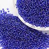8/0 Transparent Glass Round Seed Beads X-SEED-J010-F8-28-1
