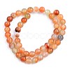 Natural Red Agate Beads Strands G-S359-136-2