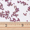 MIYUKI Delica Beads X-SEED-J020-DB2275-4